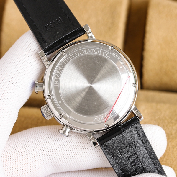 アイ・ダブリュー・シー着用イメージ